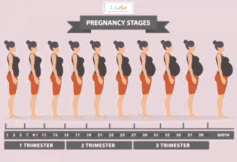 First Trimester (Weeks 1–12): Early Changes You Might Not Notice Sands End